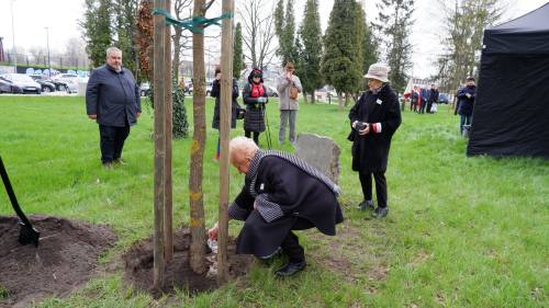 Przedstawicielka organizacji podczas symbolicznego wsypywania ziemi katyńskiej w miejscu pamięci zabitego żołnierza.